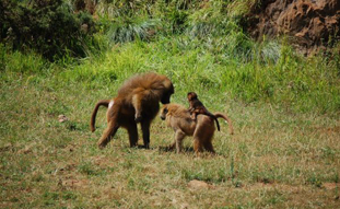 Parque de Cabárceno